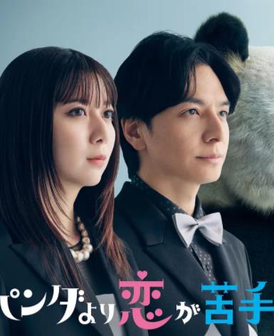 比熊猫更不擅长恋爱的我们